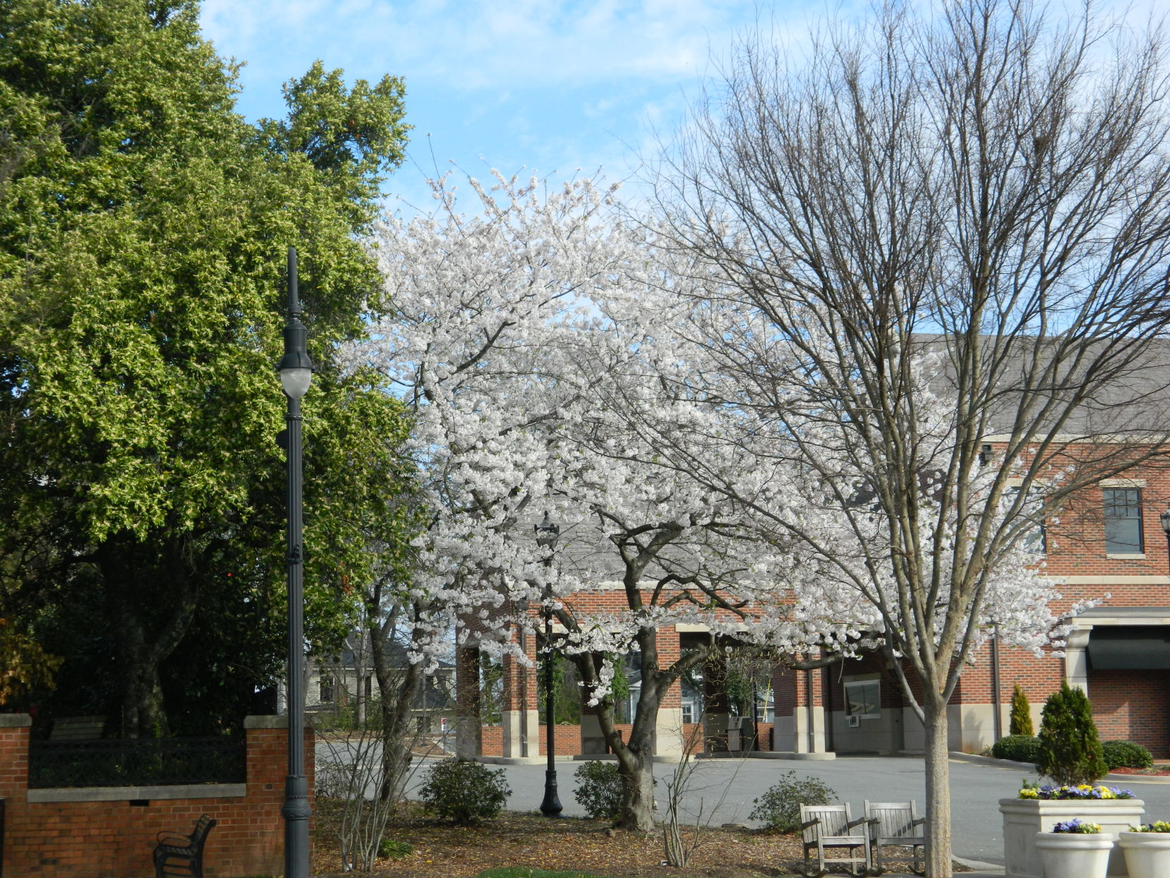 Spring photos (26).JPG